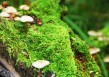 黑客盗QQ号神器app（盗黑客软件）
